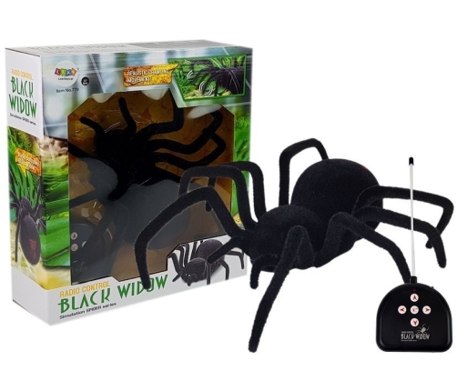 Big Hairy Spider Black Widow Remote Controlled