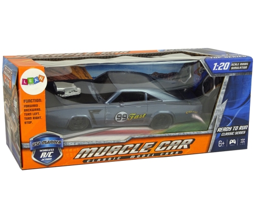 Car R/C Sports Sticker 1:20 Grey Pilot