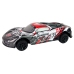 Sports Car R/C 1:8 Gray White