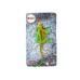 Green Rubber Lizard Figurine