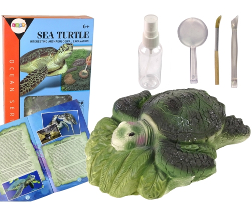 Ammonite Turtle Excavation Educational Kit