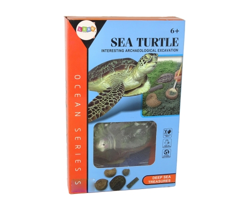 Ammonite Turtle Excavation Educational Kit