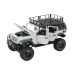 Remote Controlled RC 2.4G Off-Road Vehicle 4x4 Gray