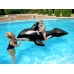 Inflatable Orca 203 cm x 103 cm Bestway 41009