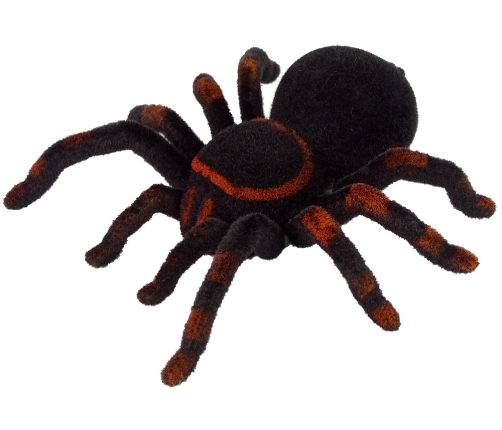 Remote Controlled Tarantula Black R/C Spider