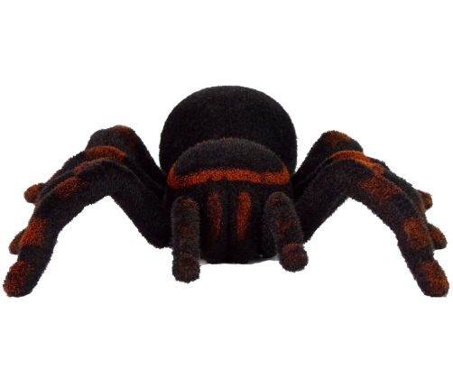 Remote Controlled Tarantula Black R/C Spider