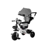 Tricycle PRO300 Gray