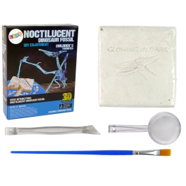 Archaeology Excavation Kit Dinosaur Skeleton Pteranodon 3D Hologram