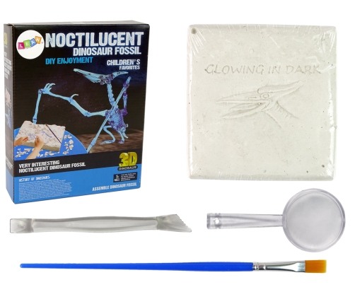 Archaeology Excavation Kit Dinosaur Skeleton Pteranodon 3D Hologram