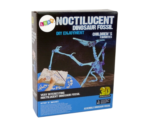 Archaeology Excavation Kit Dinosaur Skeleton Pteranodon 3D Hologram