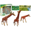 Giraffes Figurines Educational Family 3 pieces + Africa Background