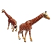 Giraffes Figurines Educational Family 3 pieces + Africa Background