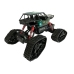 Offroad R/C Car 4x4 Black with Skull Pattern