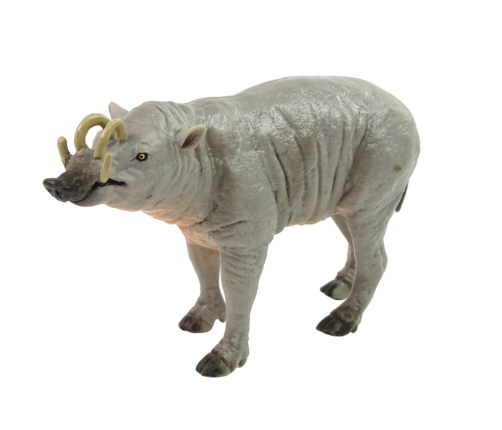 Collector's figurine Babirussa Sulaweska Animals of the World