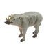 Collector's figurine Babirussa Sulaweska Animals of the World