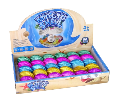 Sea Animals Growing Magic Shell 6 cm.