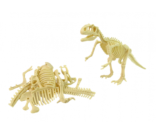 Archaeological Dinosaur Skeleton Assembleable Set of 5 Kinds