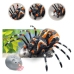 Remote Controlled Spider Tarantula Infrared Black R/C ST