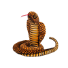 Plush Mascot Snake King Cobra Brown 100 cm