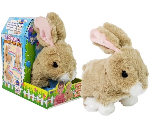 Interactive Cream Rabbit Battery Operated Moves Sound