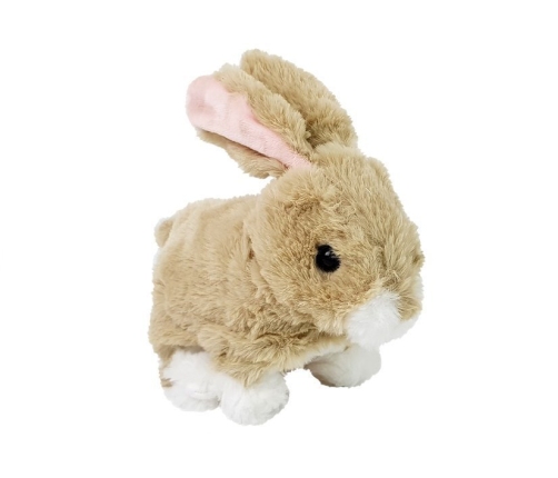 Interactive Cream Rabbit Battery Operated Moves Sound