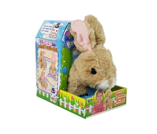 Interactive Cream Rabbit Battery Operated Moves Sound