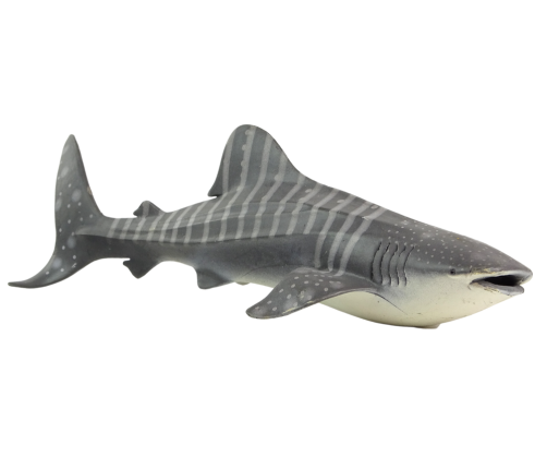 Large Whale Shark Collector's  Figurine World The Sea