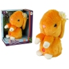 Dancing Rabbit Repeating Orange Music Sounds