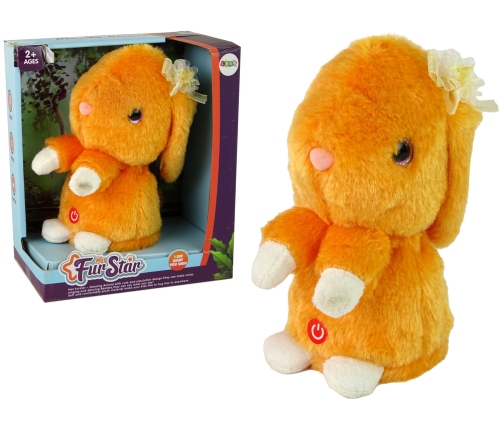 Dancing Rabbit Repeating Orange Music Sounds