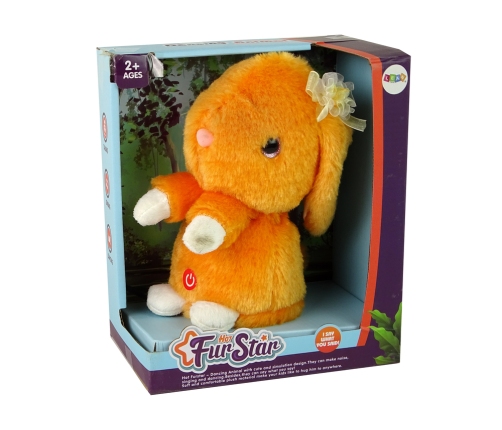 Dancing Rabbit Repeating Orange Music Sounds