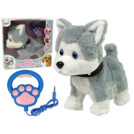 Plush Dog Interactive Educational Leash Songs Walks