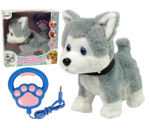 Plush Dog Interactive Educational Leash Songs Walks