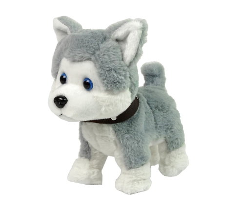 Plush Dog Interactive Educational Leash Songs Walks