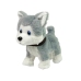 Plush Dog Interactive Educational Leash Songs Walks