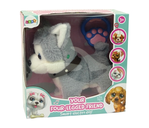 Plush Dog Interactive Educational Leash Songs Walks