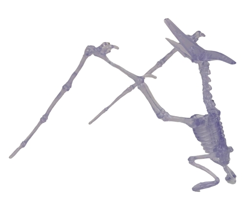 Luminous Assembleable Dinosaur Skeleton