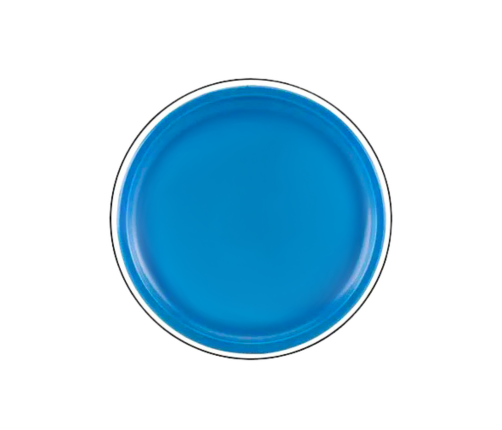 Flying Disc Frisbee with Dinosaur Blue 20 Cm