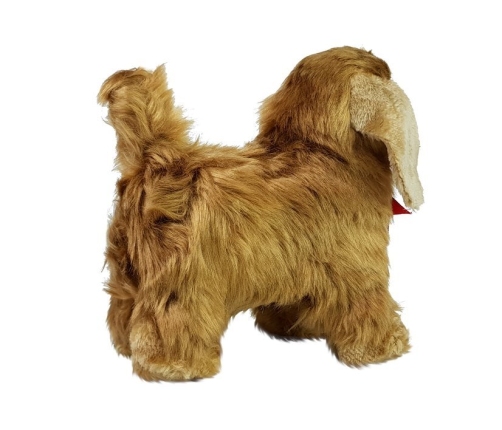 Interactive Dog Cocker Spaniel Moves, Barks