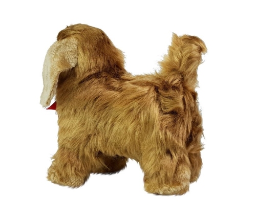 Interactive Dog Cocker Spaniel Moves, Barks