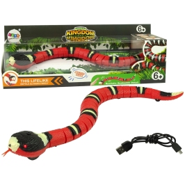 Remote Controlled Snake Touch Red Black Stripes