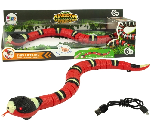 Remote Controlled Snake Touch Red Black Stripes