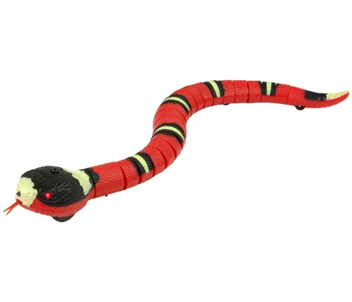 Remote Controlled Snake Touch Red Black Stripes