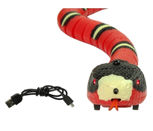 Remote Controlled Snake Touch Red Black Stripes