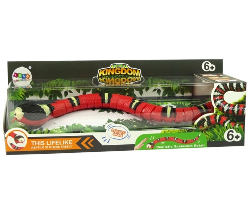 Remote Controlled Snake Touch Red Black Stripes