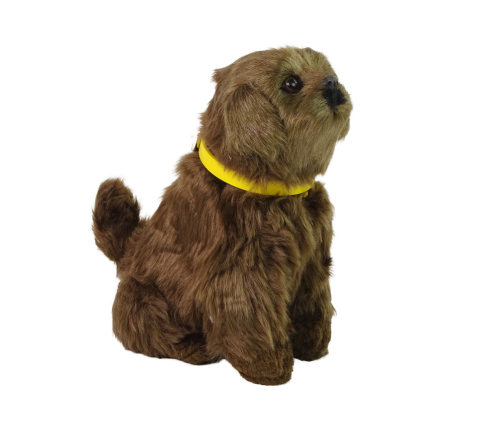 Interactive Plush Dog Soft fur Stroke its head and learn its functions