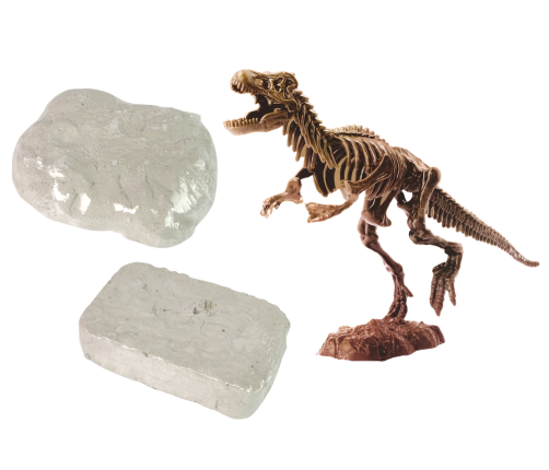 Archaeology 2-in-1 Dinosaur Skeleton Tyrannosaurus Set