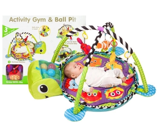 Baby Turtle Educational Mat 3in1 Pool of Balls