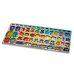 Educational Panel Wooden Sorter Board Colorful Science Puzzle 59 pieces.