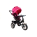 Tricycle Bike PRO500 - Pink