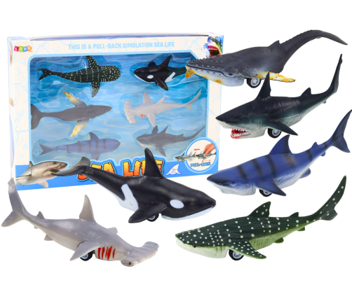 Figurines Vehicles Sea Animals Friction Drive Shark Killer Whale 6 pcs